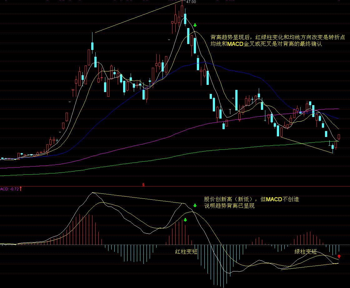 全力以赴抓落实 奋力夺取“开门红”——访市发展改革委主任罗翼